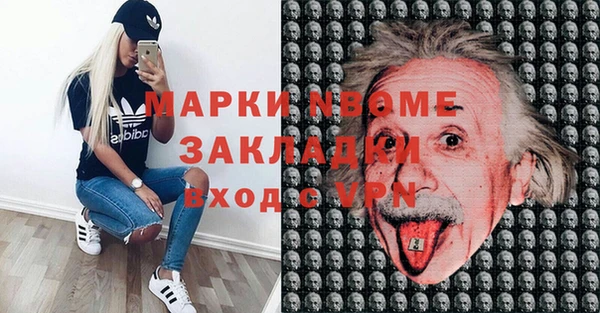 стаф Богданович